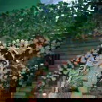 Niea LopheLophe profile icon