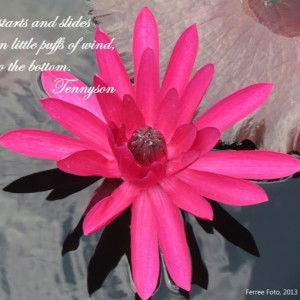 Santhana Mery profile icon