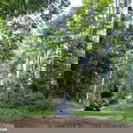 Fitri Nurmalasari profile icon