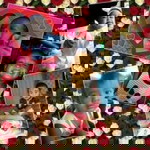 Nasree Nasron profile icon