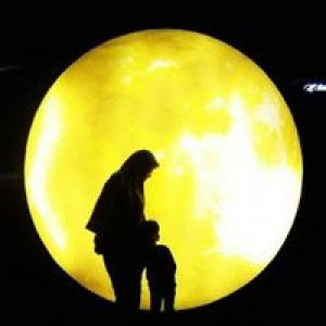 Nurul Ainn profile icon