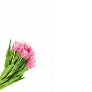 Faz Fazira profile icon