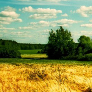 Nur Khudamah profile icon