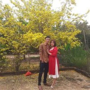 Kim Hồng profile icon