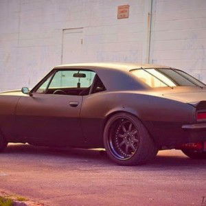 melur malim profile icon