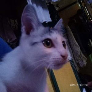 Lean Cutaran profile icon