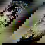 Viraa II profile icon