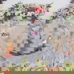 Rany Septianisa profile icon