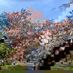 Eléena Sue profile icon