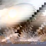 Ummu Hamzah profile icon