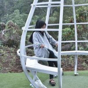 Dian Nur Aini profile icon