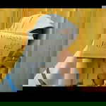 Novita Dwi profile icon