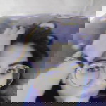 Jhenwel St. Maria profile icon