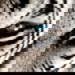 indah ratna profile icon