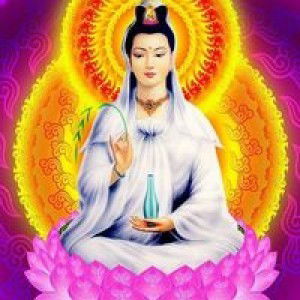 Trần Mỡ Mỡ profile icon