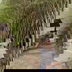 ศิริพร วงษ์พานิช profile icon