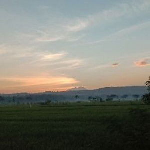 sri wahyuni profile icon