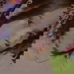 Ahn Jeloe Ramos Mendoza profile icon