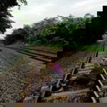 Nissa Sulaiman profile icon