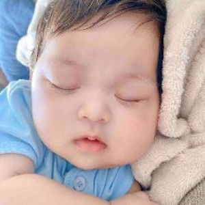 bunga ly profile icon