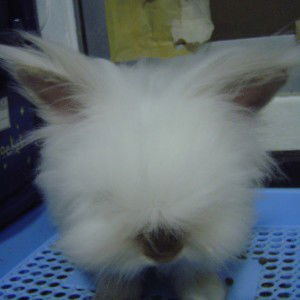 Panadda Ch profile icon