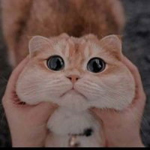 Yunia Fara profile icon