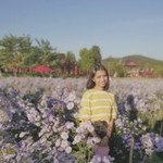 นิว ซีแลนด์ profile icon