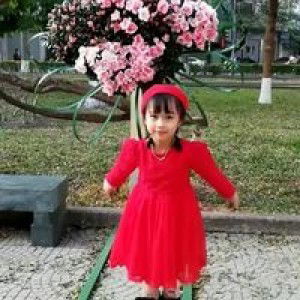 Tomato Nguyễn profile icon