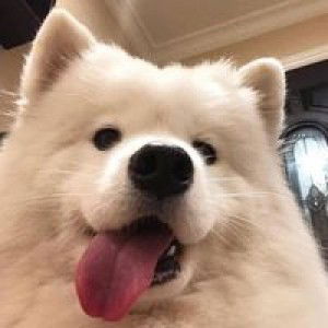 Rossarin Lakketkarn profile icon