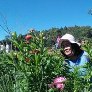 เอิญ 'วรัญญา profile icon