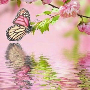 Nur Hayati profile icon