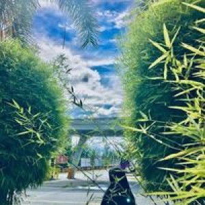 Ainaa Nurfatin profile icon