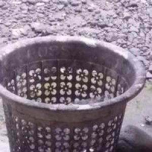 Hafizh Hafizh Hafizh profile icon