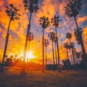 Purwanti Jegeg profile icon