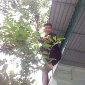 Thảo'o Kòi'i profile icon