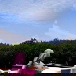 Nur Aliyah profile icon