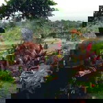 Emong G Bug Sixonesix profile icon