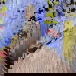 Ella Marsella profile icon