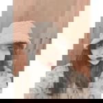 Chu Thị Linh profile icon