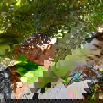 Amihoy Hazel profile icon