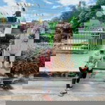 Nattida Chokmongkhol profile icon