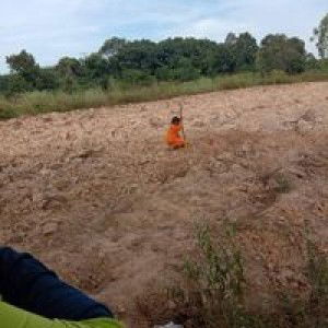 Jojo Laddawan profile icon