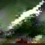 Sarnih NA profile icon