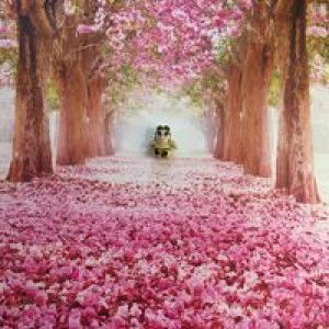 Pin Smile profile icon