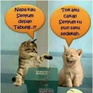 Pupu Wulanda profile icon