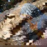 yenni.f muffti profile icon