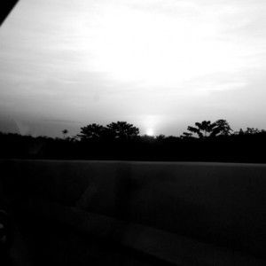 Eva Krisani profile icon