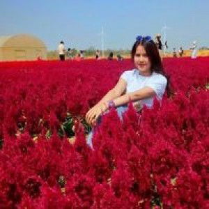 Thanyaphon Joothai profile icon