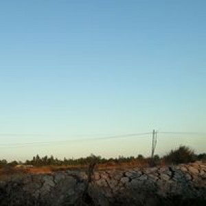 Ni Nguyen profile icon