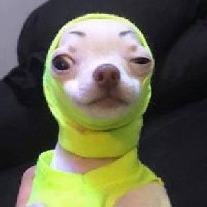 Ar Veem profile icon